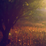 6966965057_7c2b054452_o